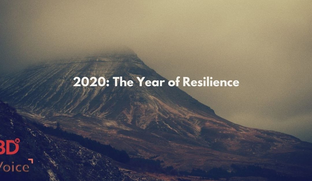 Learning from 2020 : The Year of Resilience